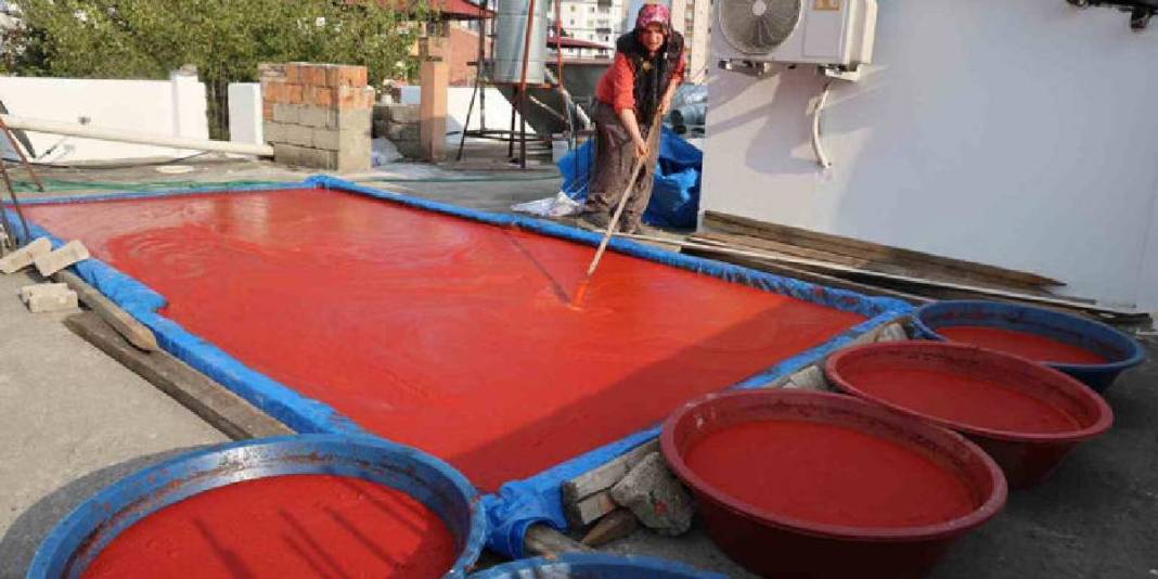 Güneşte pişiyor buram buram emek kokuyor! Adana’da yoğun mesai: Damlarda rengarenk sergileniyor 4